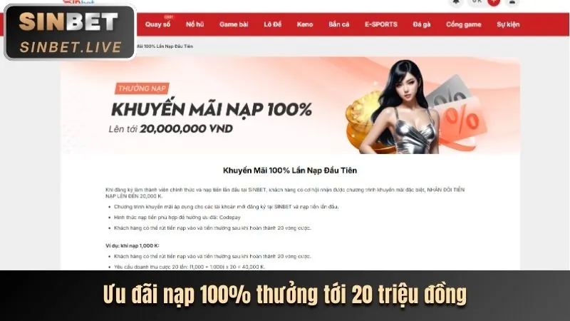 Ưu đãi chào mừng p5vip